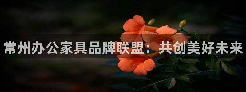 球盟会最新网