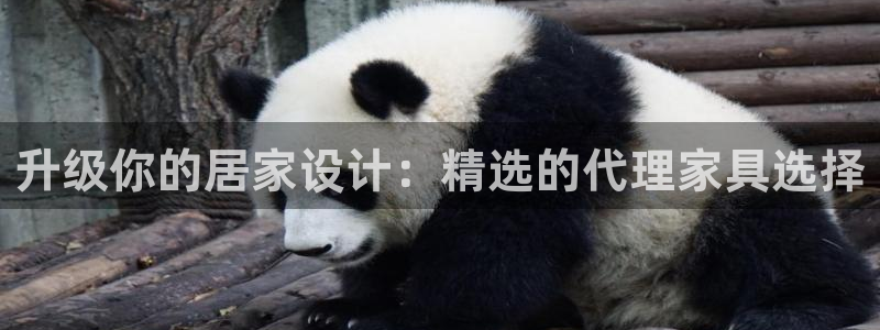 球盟会优惠券