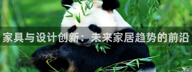 球盟会qmh网址