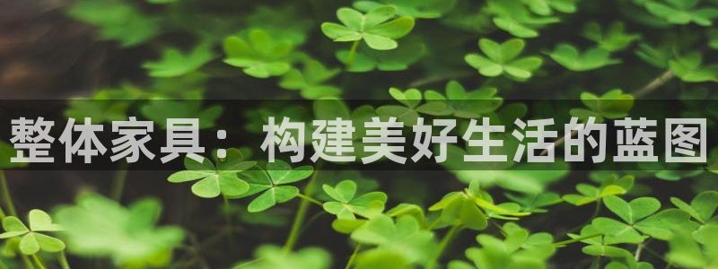 球盟会qmh官网