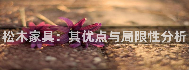 球盟会登陆中心