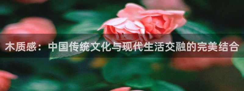 球盟会最新网