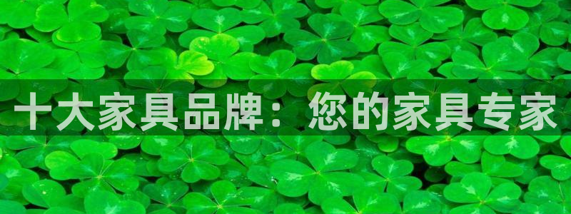 球盟会APP下载