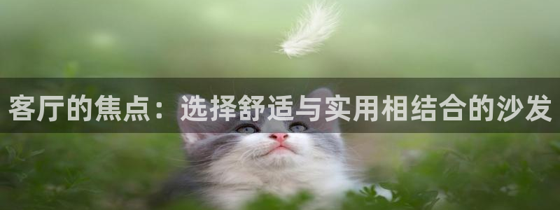 球盟会最新活动
