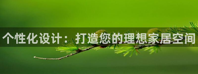球盟会可以提现么现在
