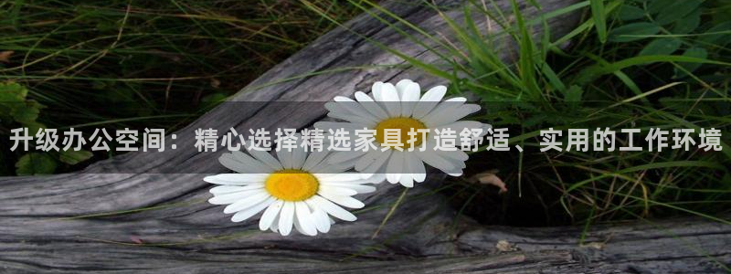 球盟会qm8597