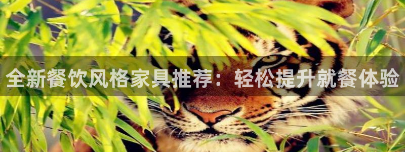 球盟会APP官网