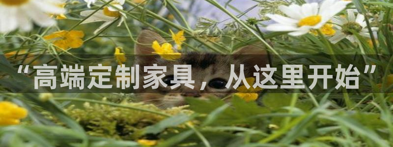 球盟会出款黑了