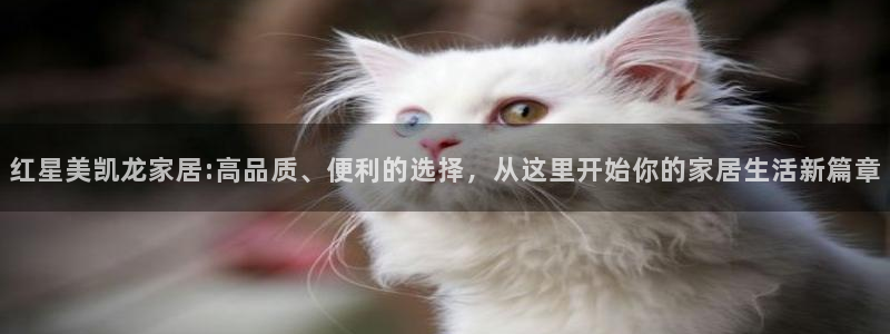 球盟会有限公司怎么样