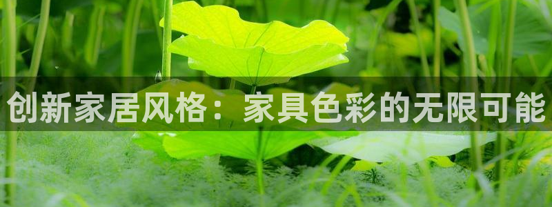 球盟会连接：创新家居风格：家具色彩的无限可能