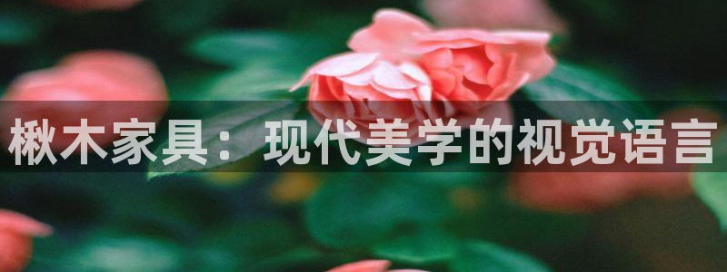 球盟会有没有黑单的球员