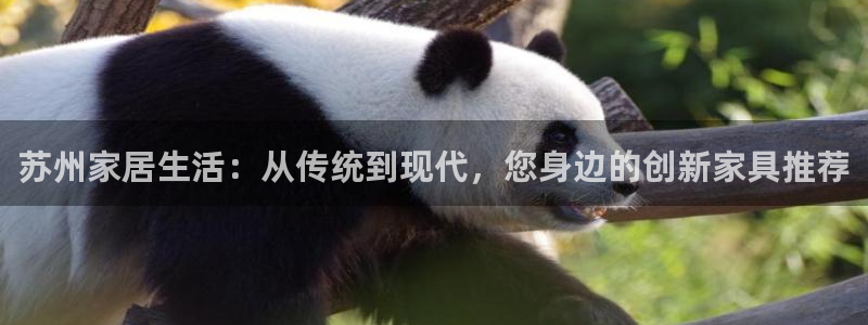 球盟会黑平台