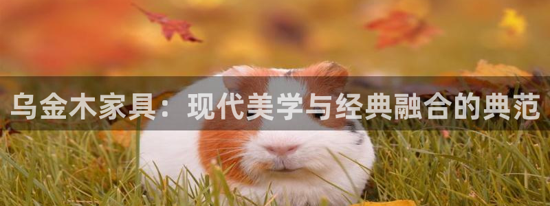 球盟会：乌金木家具：现代美学与经典融合的典范