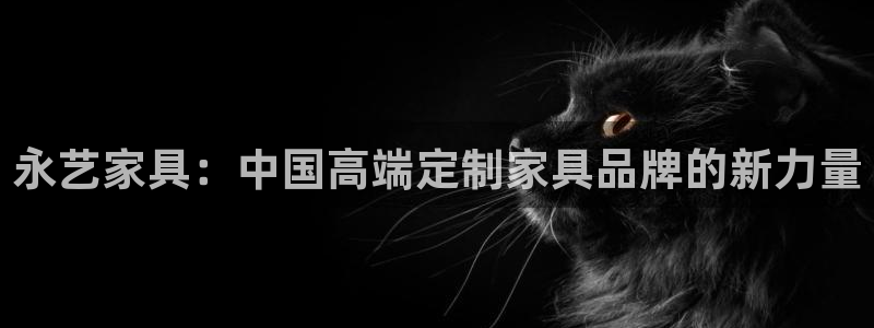 球盟会黑款吗还是白款