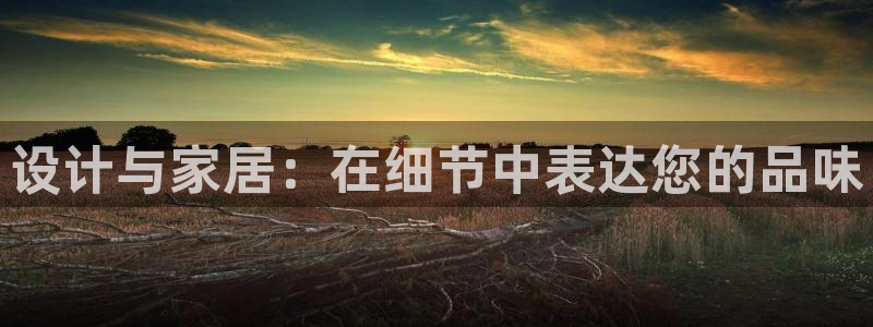 球盟会和中欧会的区别