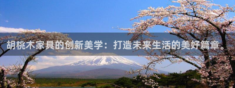 球盟会手机网页版