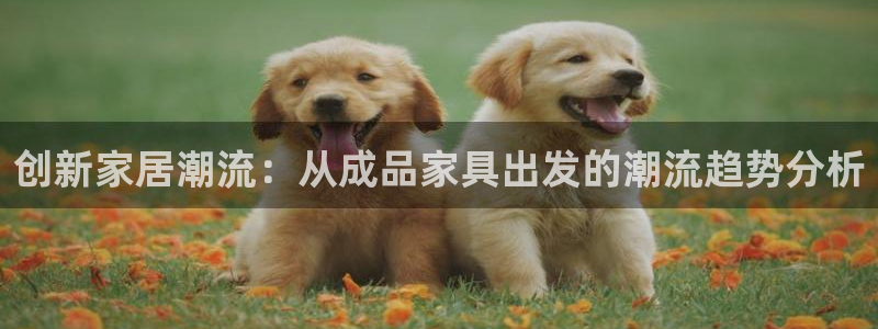球盟会平台会黑单吗