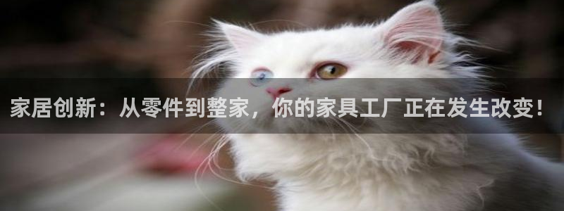 球盟会在线官网