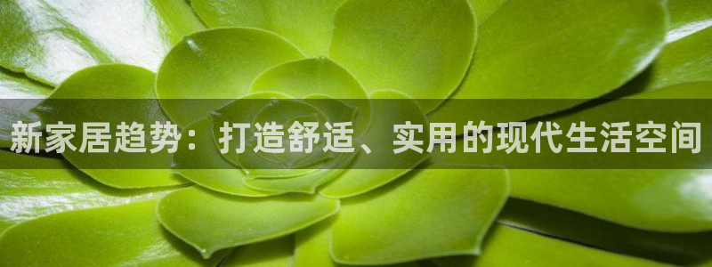 球盟会黑款吗知乎