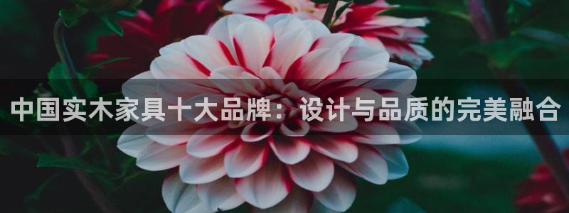 球盟会入口