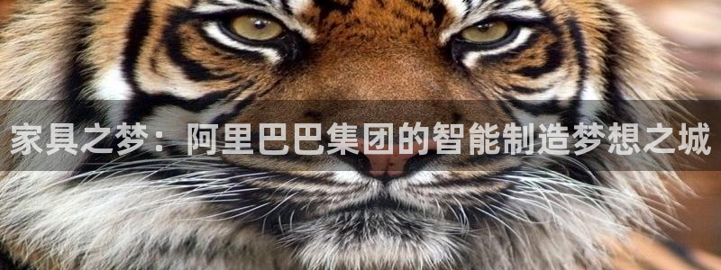 千亿球盟会乐玩