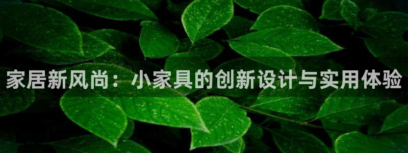 球盟会能提现吗