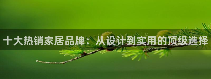 球盟会app：十大热销家居品牌：从设计到实用的顶级选择