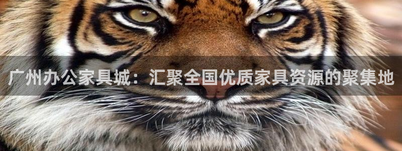 球盟会黑款吗是真的吗：广州办公家具城：汇聚全国优质家具资源的