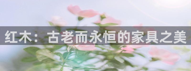球盟会论坛