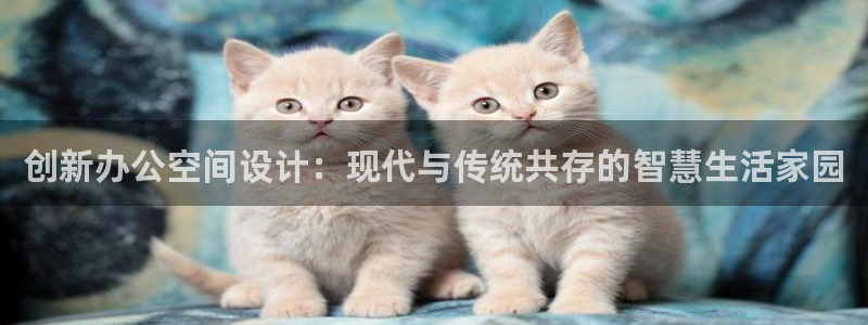 球盟会和中欧会的区别