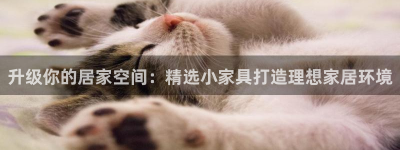 球盟会app最新地址在哪看
