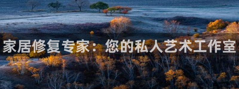 球盟会qmh官网