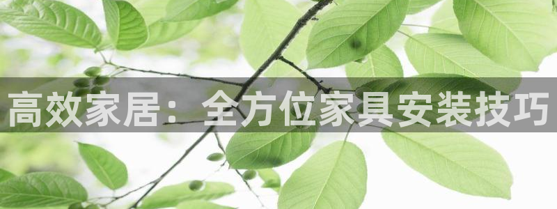 球盟会黑款吗知乎