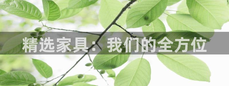 球盟会官方最新入口