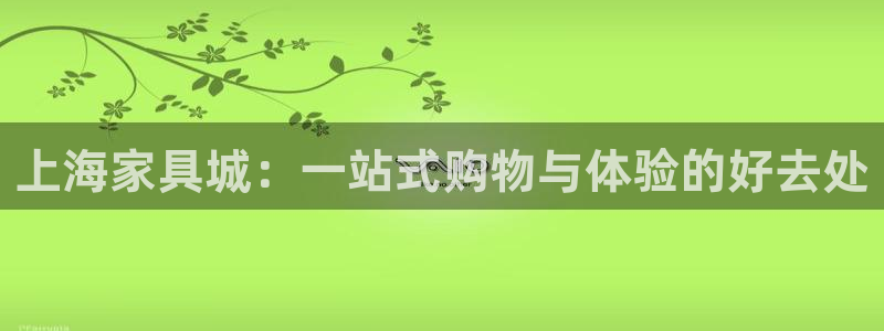 球盟会电子