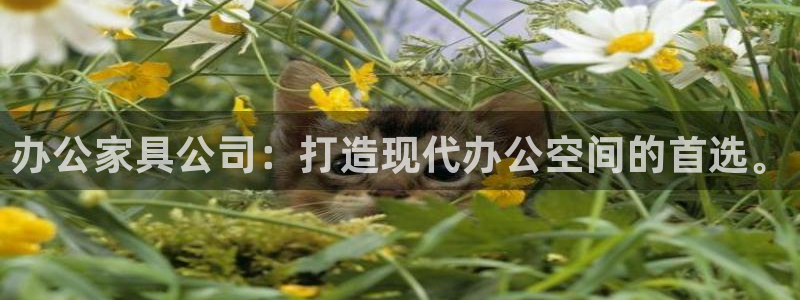 球盟会app网址多少