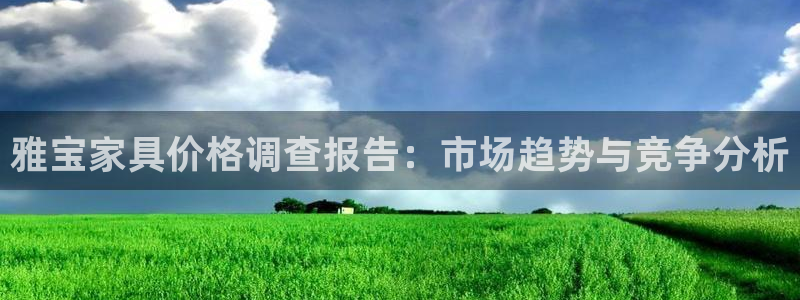 球盟会qm9：雅宝家具价格调查报告：市场趋势与竞争分析
