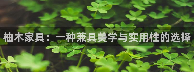 球盟会App