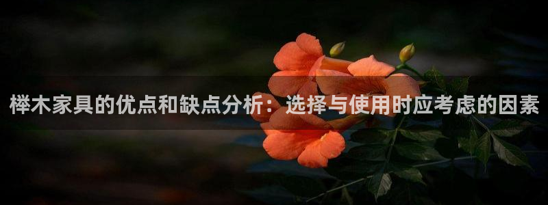 球盟会乐虎