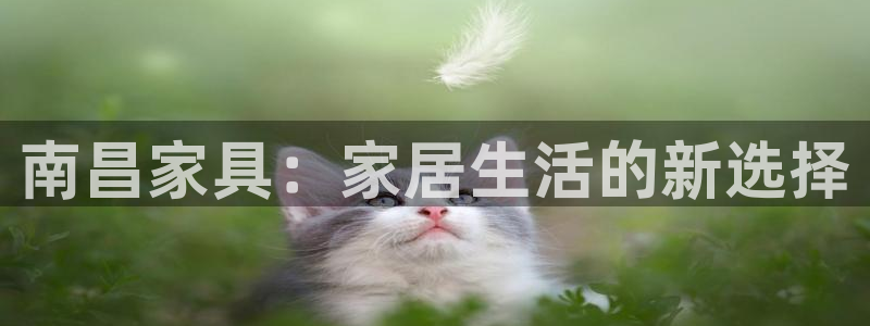球盟会app