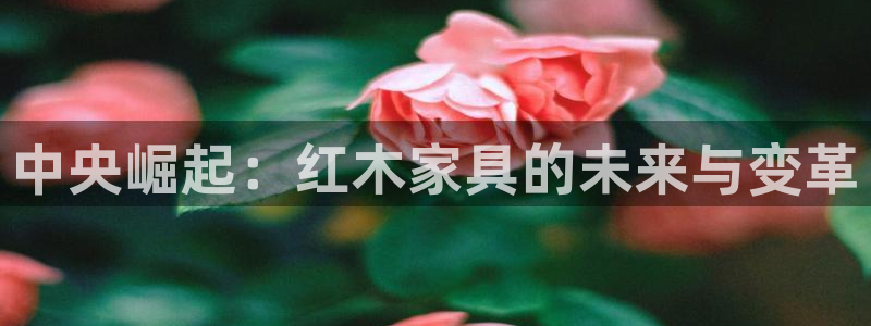 球盟会APP下载