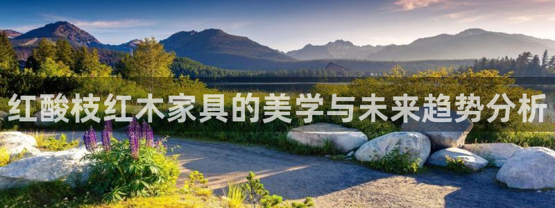 球盟会可以提现么