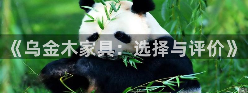 球盟会吧