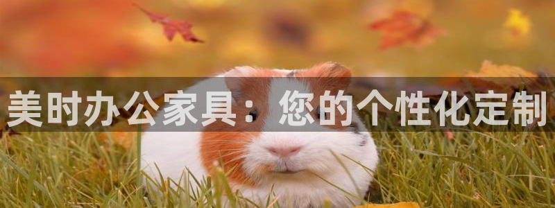 球盟会在线登录