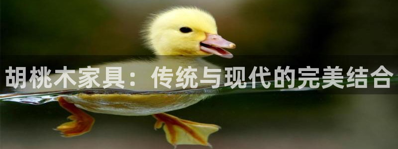 球盟会黑嘛：胡桃木家具：传统与现代的完美结合