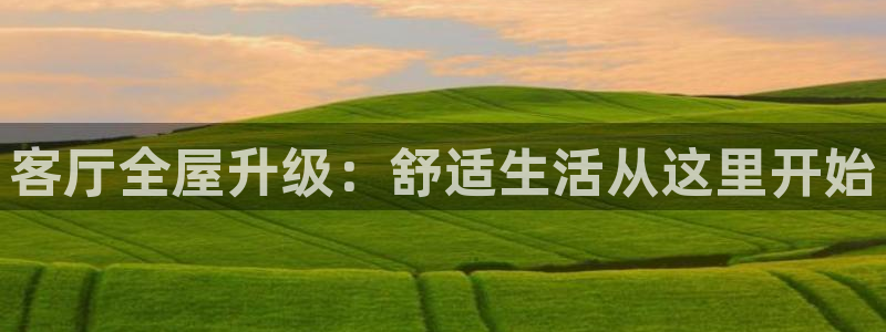 球盟会电子