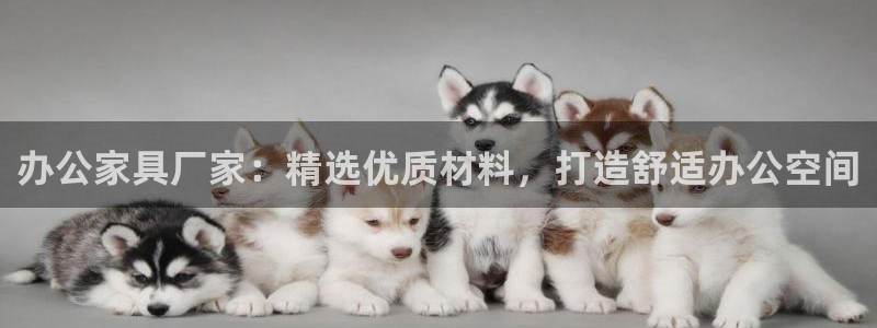 球盟会综合app下载