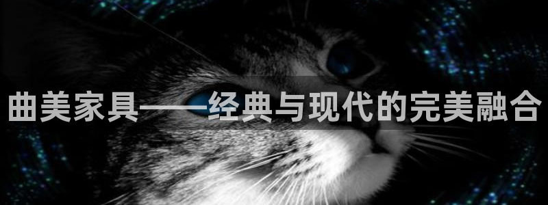 球盟会app最新地址下载安装