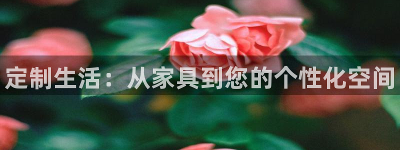 球盟会官方登录平台