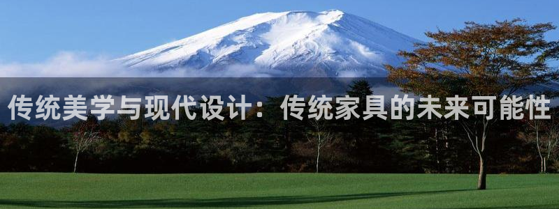 球盟会登陆中心